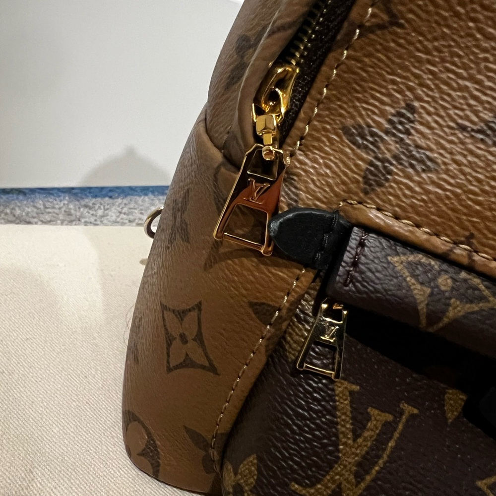 Louis Vuitton Palm Springs Mini Backpack - Picture 5 of 14